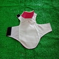 thumbnail image 4 of RYRDWP Dog Pet Cat Clothes Waterproof Pet Pet Jacket Coats, 4 of 6