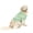 Green, variant on Migroa Dog Plaid Vest Costume, St. Patrick's Day Pet Suit with Matching Owner Outfit Idea Mint Green S
