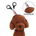 thumbnail image 4 of Tocado de perro y gato, accesorios de mago, tocado de Halloween para mascotas, sombrero divertido MFZFUKR s, 4 of 5