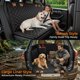 thumbnail image 5 of Backseat Extender for Dogs - Hard Bottom Dog Car Seat Cover for Back Seat, Dog Hammock for Car and SUV, Pet Rear Seat Protector Dogs Travel Bed with Mesh Window & Side Flaps, 5 of 7