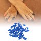 thumbnail image 2 of Ofertas Únicas 50 Pcs Capuchones de Uñas Portátiles Antirayaduras para Perros Azul Tamaño: L, 2 of 5