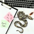 thumbnail image 3 of FELTECHELECTR Juguete de animal Amosfun, serpiente de simulación realista, broma de Halloween, serpiente aterradora, juguete de animal falso para coleccionar, accesorio educativo científico, 3 of 5