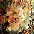 thumbnail image 2 of Harrington, Danielle 15x15 White Modern Wood Framed Museum Art Print Titled - Eveline II, 2 of 4