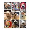 thumbnail image 1 of 1pc Beige Pet Hat, Thickened And Warm With Cute Design, 1 of 5
