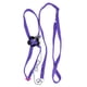 thumbnail image 1 of Arnés de fibra suave ajustable para pájaros para entrenamiento y juegos al aire libre de loros (morado), 1 of 12