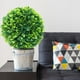 thumbnail image 1 of Bola de hierba artificial decorativa | Esfera floral artificial verde realista | Planta artificial de plástico PE resistente a los rayos UV e impermeable | Decoración para exteriores, jardín,, 1 of 5