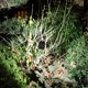 thumbnail image 3 of Linterna Luces de trabajo de emergencia Llaveros Impermeable COB LED Antorcha Negro Sywqhk Para Estrenar, 3 of 8
