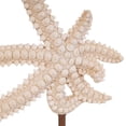 thumbnail image 4 of 8" x 12" Pink Polystone Textured Starfish Sculpture with Copper Stand, by DecMode, 4 of 13