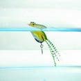 thumbnail image 4 of AURORA TRADE 4cm/7.5g Fishing Lure Dual Hooks with Tassels Spinner Sequin Hollow Simulated Long Casting Artificial Soft PVC Snakehead Frog Bait Fishing Supplies, 4 of 8
