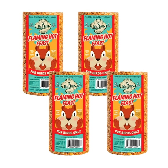 Cilindro de semillas para aves Mr. Bird Flaming Hot Feast, paquete de 4