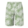 thumbnail image 5 of KPOPLK Men's Swim Trunks Quick Dry Beach Shorts Swimwear Bathing Suits Print Beach Casual Trouser Shorts(Green,XXXXL), 5 of 5