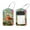 multicolored 2, variant on 2 Pcs Colorful Tropical Fish Pattern Luggage Tag for Suitcases, Leather Baggage Tags Identifiers for Travel, Stainless Steel Loop Name ID Label for Women Bag Backpack
