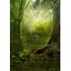 ABPHOTO 5x7ft Photography Backdrop Deep tropical jungles Fairytale Forest Landscape Backdrops for Photo Shoots Lovers Party Game Adult Kids Baby