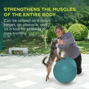 FitPAWS® TRAX™ Balance Peanut | Dog Exercise Equipment for Fitness & Rehabilitation | Workout Tool for Strength, Core & Stability – 60cm/24, Blue