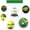 20Pcs, variant on SLYNSHome Garden Cloches,10Pcs Reusable Plant Bell Cover,Keep Warm Plant Lids Protectors from Animals Snails Birds Chickens Insect
