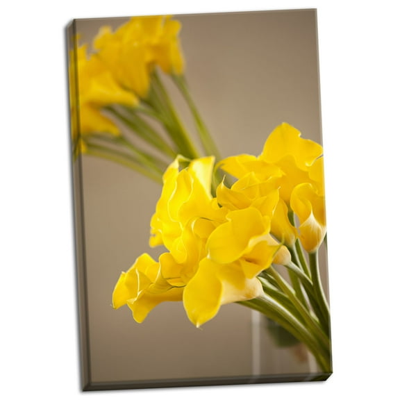 Gango Home Decor Yellow Calla Lilies by Karyn Millet (Ready to Hang); One 24x36in Hand-Stretched Canvas