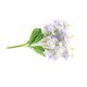 thumbnail image 4 of Daboolka Ramo de flores de simulación de flor de jacinto artificial para decoración del hogar (púrpura), 4 of 4