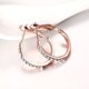 thumbnail image 5 of Nvzi Aros pequeños con diamantes de imitación y platino en oro rosa de 14 quilates para mujeres adolescentes con orejas sensibles (oro rosa), 5 of 5
