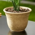 thumbnail image 4 of HC Companies Sierra 10 Inch Round Garden Planter Pot (2 Pack), 4 of 11