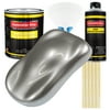Restoration Shop - Titanium Gray Metallic Acrylic Enamel Auto Paint, Complete Gallon Paint Kit, Single Stage High Gloss