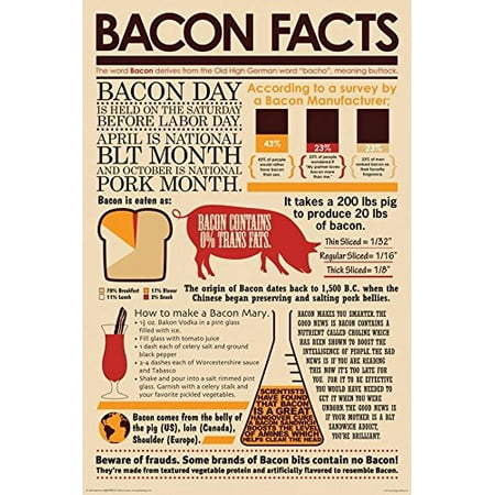 Bacon Facts 36x24 Art Print Poster   Restaurant Kitchen Man Cave Pork Buttock BLT Education Smart Pig