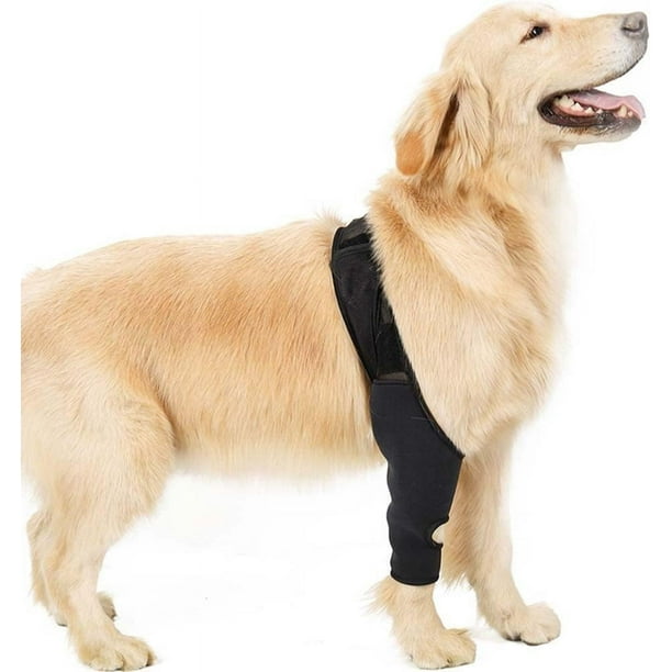 Canine knee brace by neoprene hotsell
