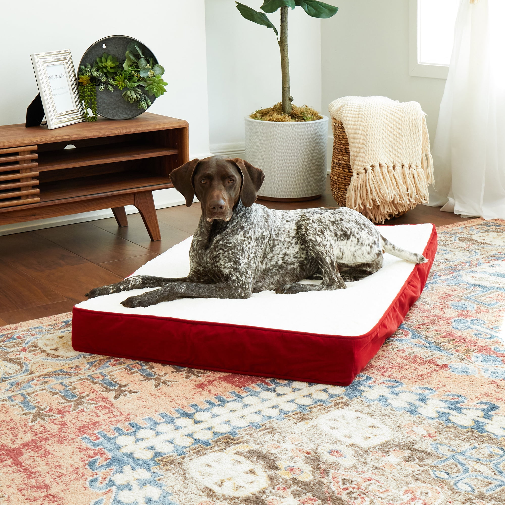 Happy treat clearance dog bed reviews