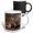 Multicolor, variant on 3drose, Usa, California, La Jolla. Baby Sea Lion on Sand., 11oz Two-tone Green Mug