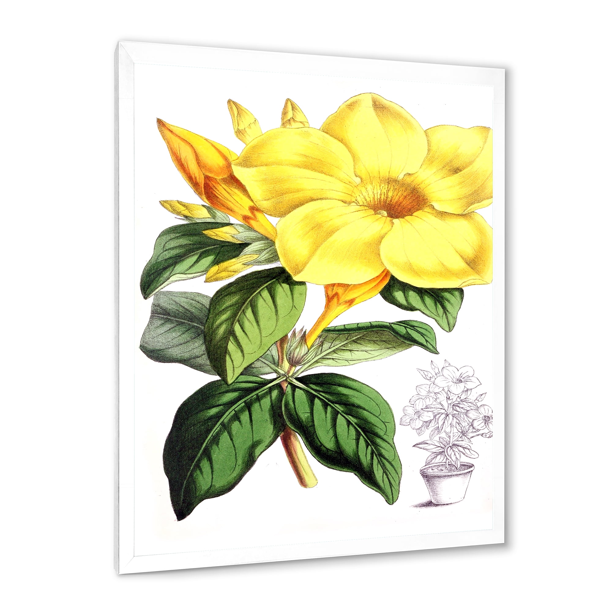 Designart 'Green Leaves With Tropical Yellow Flowers II' Traditional Framed Art Print
