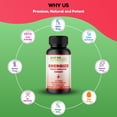 thumbnail image 4 of Shifaa Nutrition Energize Halal Vitamins – Natural Energy & Focus Support with B Vitamins, Caffeine & Taurine – 60 Servings, Jitter-Free, 4 of 7