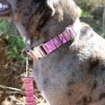 thumbnail image 3 of Country Brook Petz® Premium Pink Waterfowl Camo Dog Collar and Leash, Large, 3 of 7