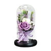 Randolph Two Rose Soap Bouquet Glass Cover LED Light Model Imitation Valentine's Day Gift Decoration Ornament
