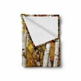 thumbnail image 2 of Fall Soft Flannel Fleece Throw Blanket, White Birch Trees Autumn Leaves Growth Wilderness Ecology Calm Serene View Print, Cozy Plush for Indoor and Outdoor Use, 60" x 80", Multicolor, by Ambesonne, 2 of 6