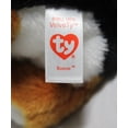 thumbnail image 6 of Ty Beanie Baby - Roscoe the Bernese Mountain Dog  – Glitter Eyes  - Stuffed Animal, 6 of 6