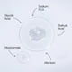 thumbnail image 3 of Sérum Hanhoo Pore con niacinamida 30 ml para poros obstruidos, 3 of 7