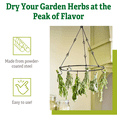 thumbnail image 5 of Herb Drying Rack, 5 of 6