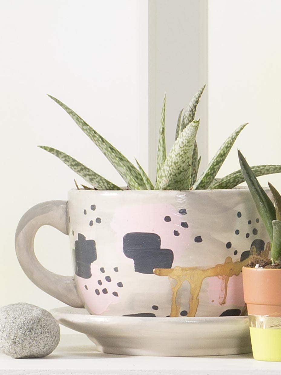 Fun Express 6 Pieces DIY Teacup Planter with Saucer, Ceramic Crafts and Kids Do it Yourself Projects