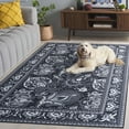 thumbnail image 5 of SAFAVIEH Arizona Amadine Paisley Machine Washable Area Rug, Black/Grey, 4' x 6', 5 of 13