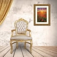 thumbnail image 3 of Podt, Martin 23x32 Gold Ornate Wood Framed with Double Matting Museum Art Print Titled - Poppies at Sunset, 3 of 4