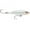 Glass Ghost, variant on Rapala X-Rap Saltwater SubWalk 07 Jerkbait Blue Sardine