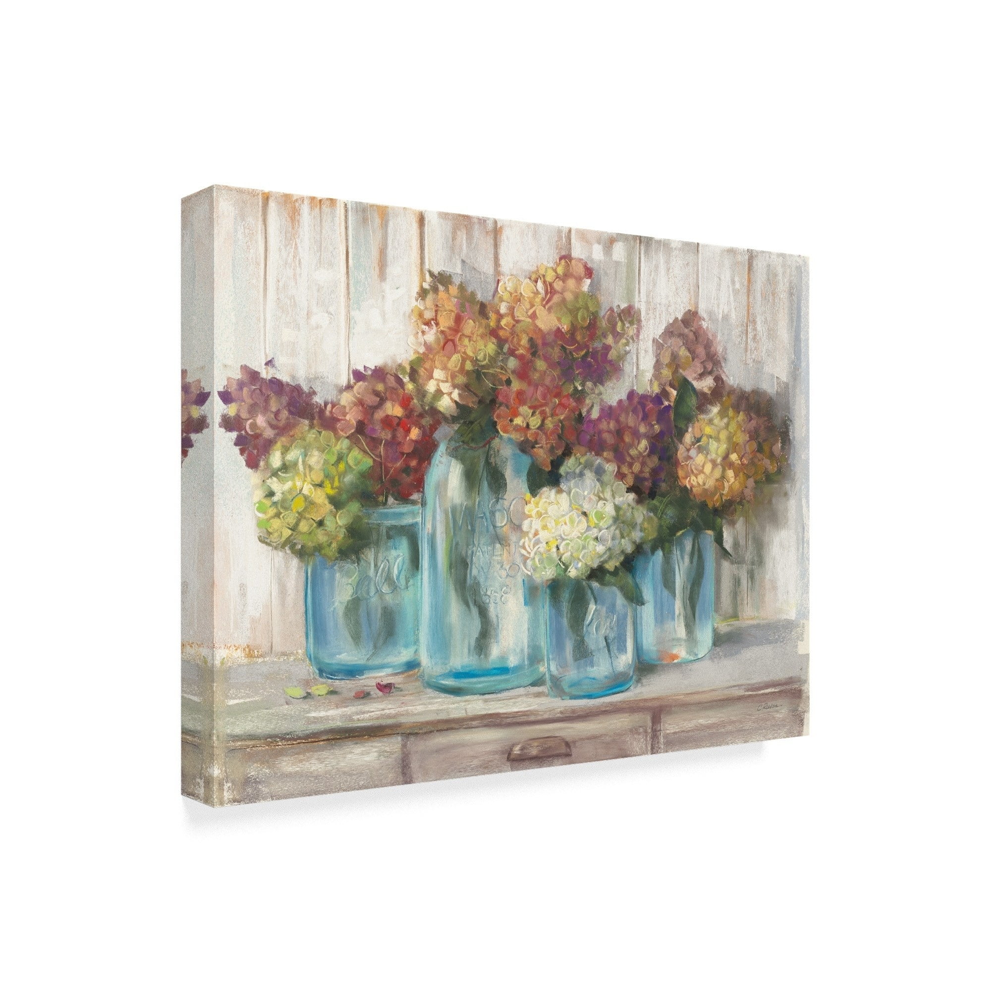 Trademark Fine Art 'Hydrangeas in Glass Jars White Wood' Canvas Art by Carol Rowan