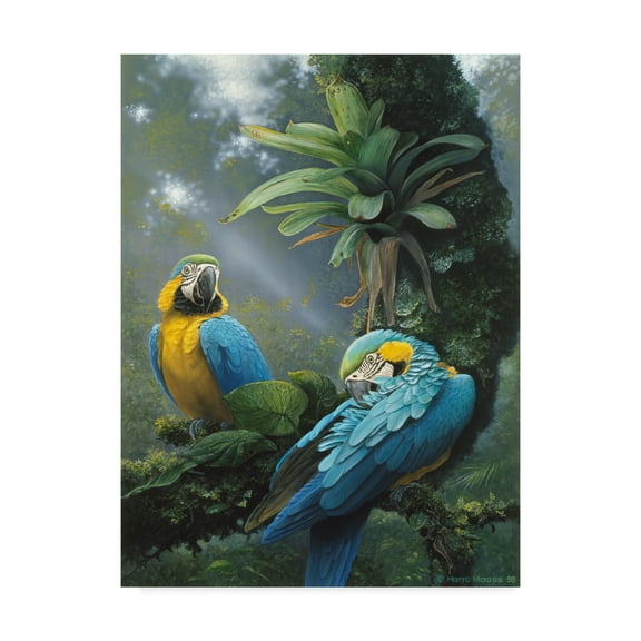 Trademark Fine Art 'Blue And Yellow Macaws' Canvas Art by Harro Maass