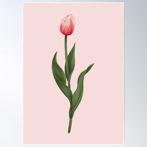 Tulip Poster Wall Art, Modern Wall Decor For Living Room Bedroom, 8x12 UNFRAMED