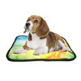 thumbnail image 2 of PKQWTM Summer Sunflower Filed Landscape Pet Dog Cat Bed Pee Pads Mat Cushion Potty Dogsblankets Crate Bed Kennel 28x36 inch, 2 of 3