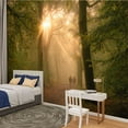 thumbnail image 2 of Peel and Stick Wallpaper sunbeams trees forest path sunrise Cape Forests Utrechtse Heuvelrug Modern Art Wall Mural Decor Self Adhesive and Removable 100in x 144in, 2 of 8