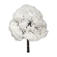 thumbnail image 1 of Yinanstore Model Trees HO Scale Trees, Miniature Tree Mini Diorama Trees for Railway Landscape Layout Sand Table DIY Crafts Fairy Garden 10cm, 1 of 8
