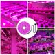 thumbnail image 2 of 6X LED la Luz de Crecimiento Tira de Luz de Crecimiento USB de Espectro Completo de 5 V 2835 Fitolamparas LED para Plantas de Cultivo HidropóNico de Invernadero 100Cm, 2 of 5