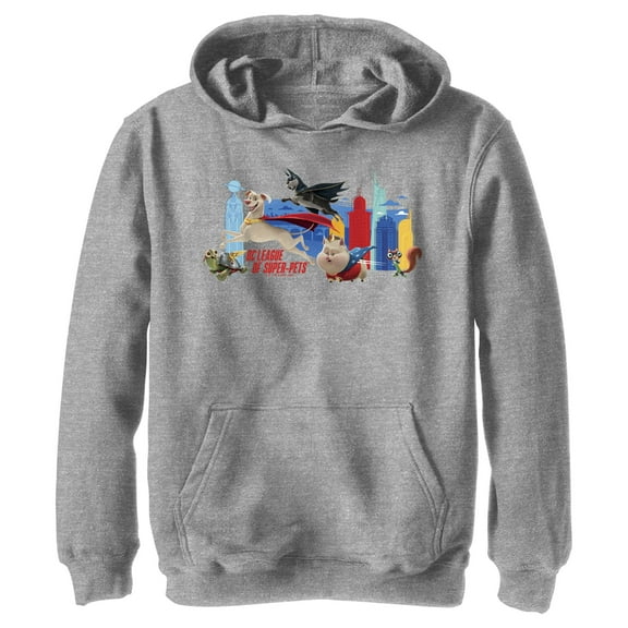 Boy's DC League of Super-Pets Metropolis Groupshot Pull Over Hoodie Athletic Heather Large