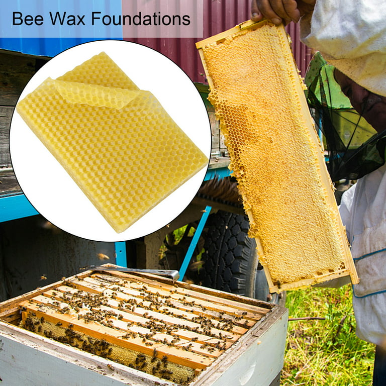 CreativeArrowy 10Pcs Beeswax Foundation Beehive Wax Frames Base