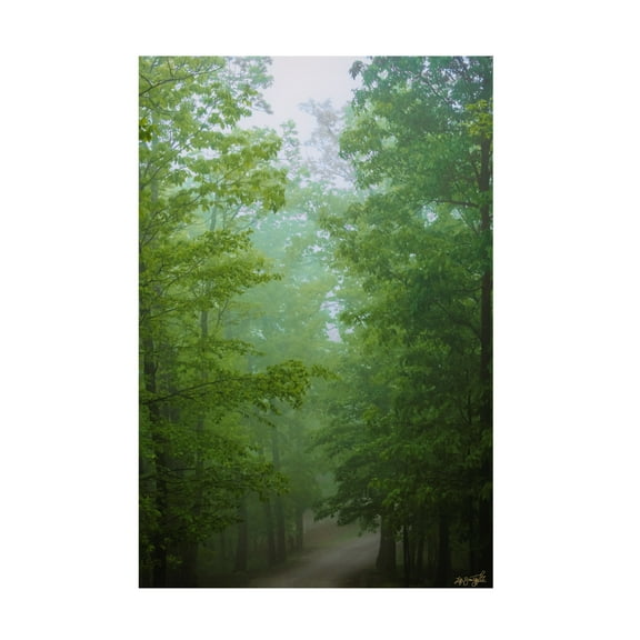 Canvas Wall Art - Life BeautifuLEE 'Green Glow Woods 2' Wall Art for Living Room, Bedroom, or Office Décor by Trademark Fine Art - 12 x 19 Inches